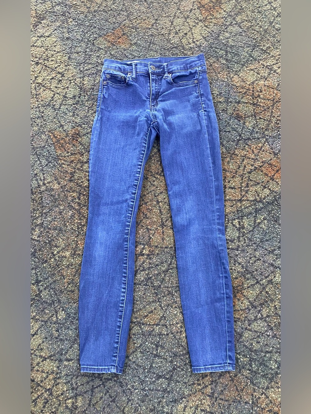 Gap 1969 True Skinny Stretch Jeans Blue Wash Size 24R